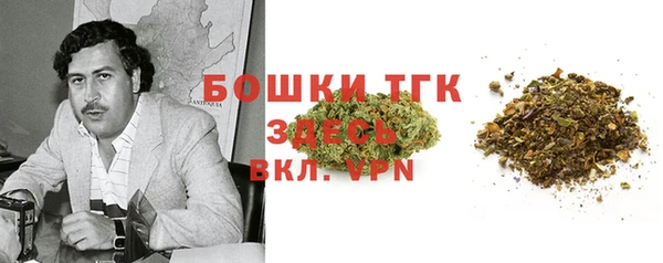твердый Касимов