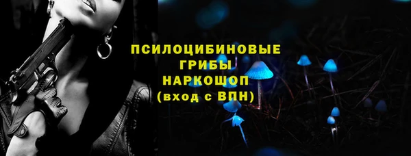 твердый Касимов
